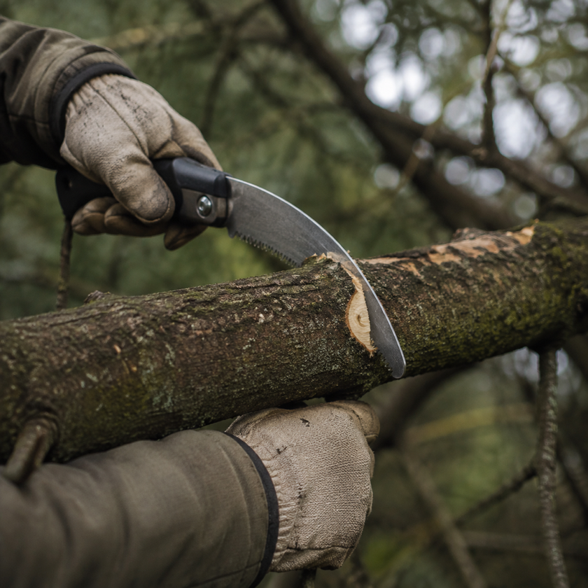 Gants et scie d'élagage pliante exécutant une coupe nette sur une branche, écorce et bois clair de la plaie visibles